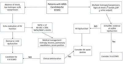 Right ventricular dysfunction in patients with acute respiratory distress syndrome receiving venovenous extracorporeal membrane oxygenation